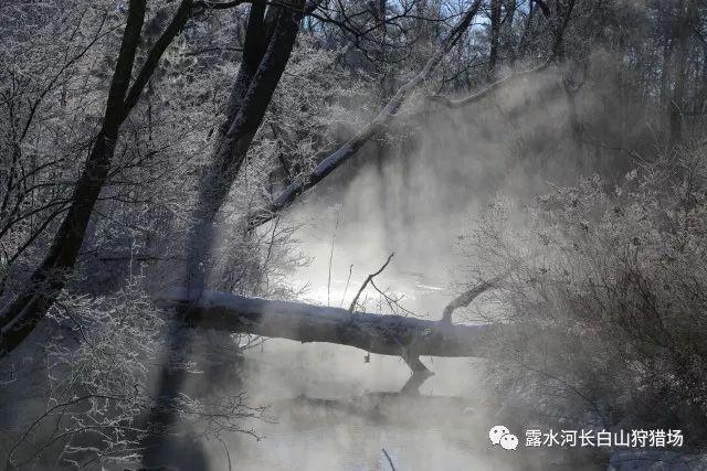 神秘侦探